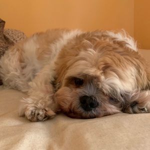 Meet your Posher, Chelsey